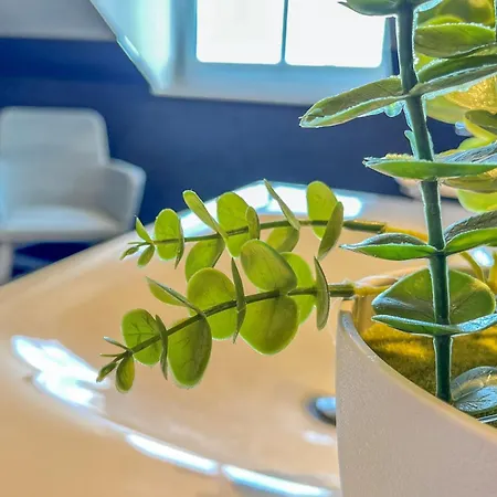 Appartamento Baltischer Hof 66 Boltenhagen (Ostseebad)